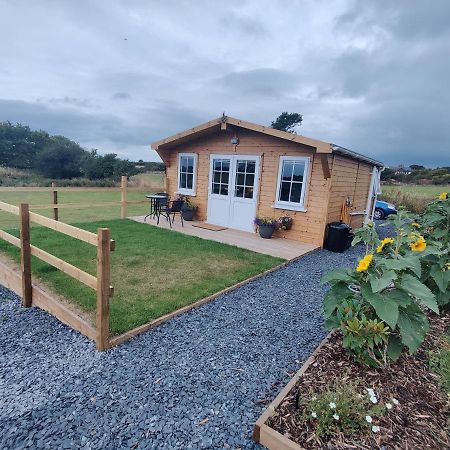 Bumble Bee Cabin Bootle  Exterior foto